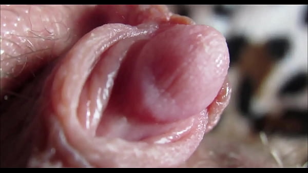 orgasm pussy