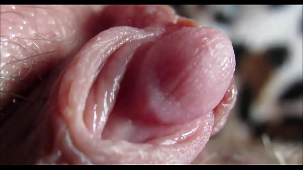 pussy orgasm