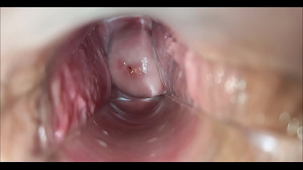 pussy orgasmo